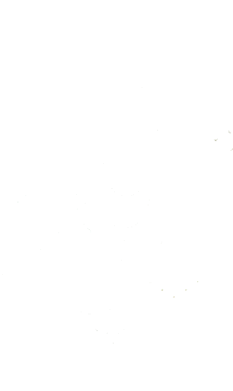 Forest Pocket Garden v2